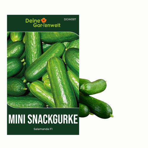 Mini snackgurke salamanda - snackgurke, f1
