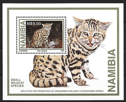Namibia kleine raubtiere - kleine,
