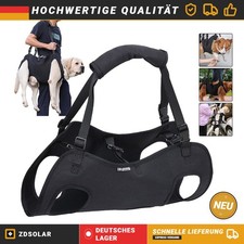 Hundetransporter älterer