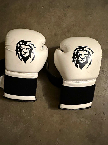 Fightr fbg xiv boxhandschuhe - fightr,