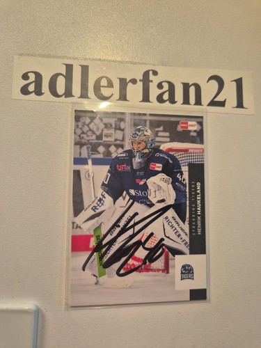 Del 2025 2026 signiert - 2025-2026,