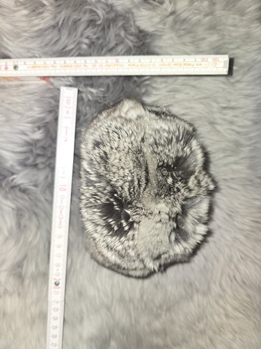 Vintage chinchilla extrem - vintage,
