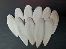 10 Sepiaschalen, ca. 10 - 12