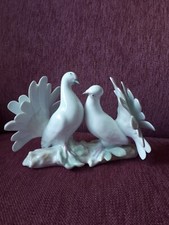 Gräfenthal Weisse Tauben