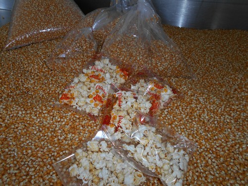 Popcorn mais zirkus kino - zirkus,