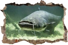 Wandtattoo Wels Fisch