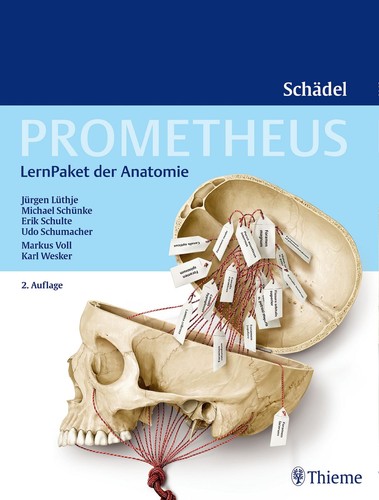Prometheus lernpaket anatomie - prometheus,