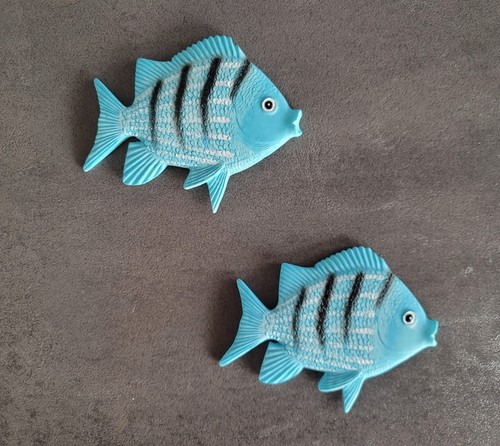 Fische ciel hellblau - fische,