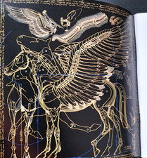 Hermes Paris 2011 F/S Le Carre