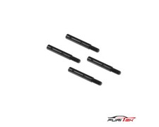 Furitek Portal Radachsen