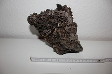 Treibholz Holzwurzeln