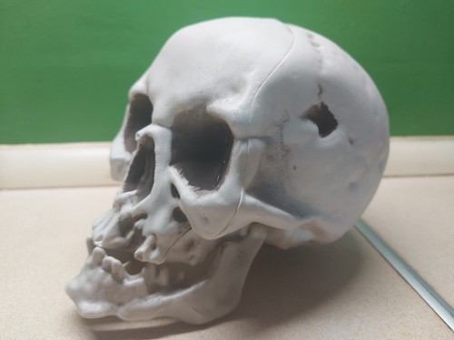 Totenkopf schädel mit - totenkopf,