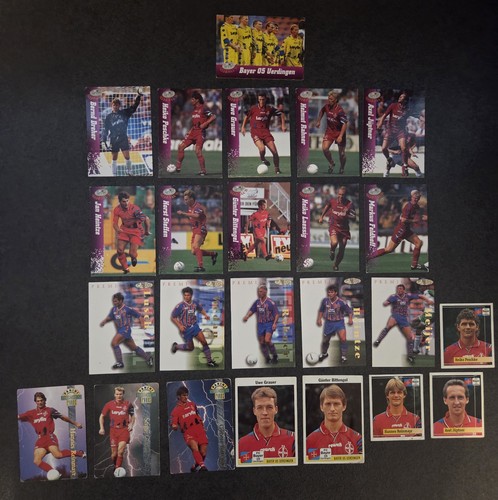 Bayer uerdingen panini - uerdingen, 05