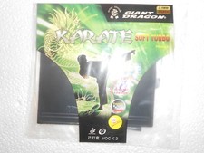Giant Dragon KARATE  HARD  2,1