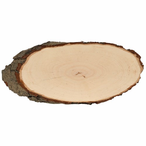 Ware holzscheibe esche - b-ware, oval