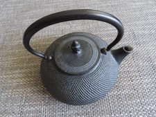 Japanische Gusseisen-Teekanne