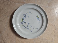 Großer Teller DDR Ilmenau Henneberg Porzellan Sammler Trödel Flohmarkt