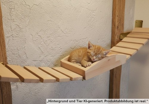 Hängebrücke mit schlafkasten - hängebrücke,