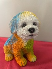 Bichon Frise Farbenfroher Hund