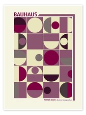 Poster Bauhaus - Panton Malve