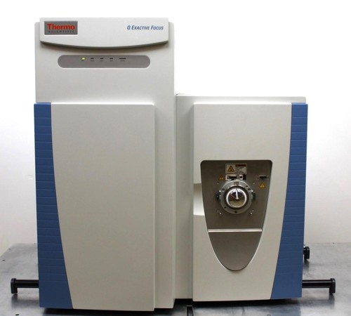 Thermo exactive focus - q,