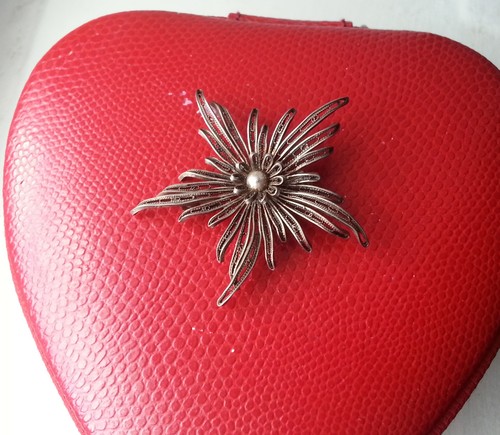 Antike silber brosche - antike,