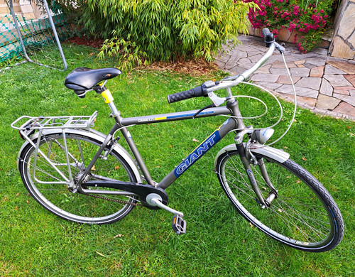 Giant carabo trekkingrad - giant,