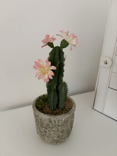Kunst kaktus mit blüten - kunst,