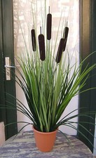 Kunstpflanze gras rohrkolben - gras,