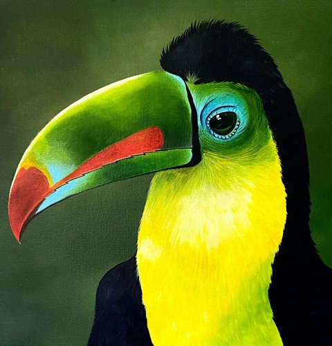 Der tukan porträt acryl - tukan, |
