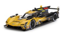 TSM Model 1:18 CADILLAC