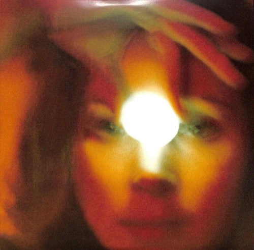 Cora calax - cora, /