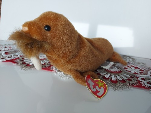Beanie babies paul 1999 - ty,