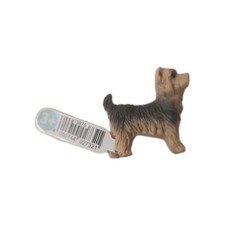 13876 Yorkshire Terrier