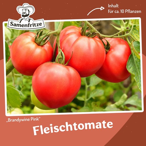 Tomatensamen pink brandywine - pink,
