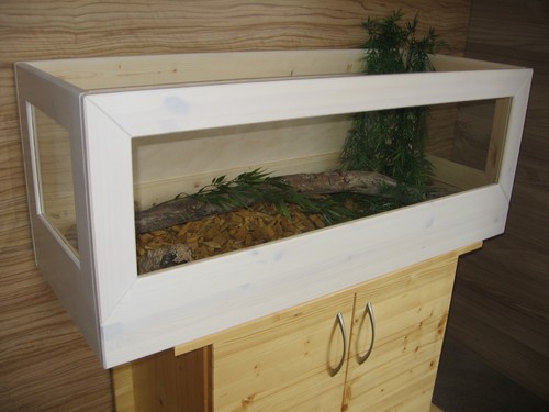 Schildkröten terrarium - schildkröten,