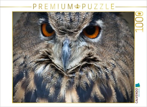 Calvendo puzzle eule 1000 - puzzle,