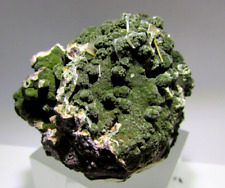 Wulfenit xx auf Mottramit Stufe aus Tsumeb Mine / Tsumeb / Oshikoto / Namibia !