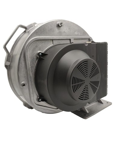 G3G250-GN17-01