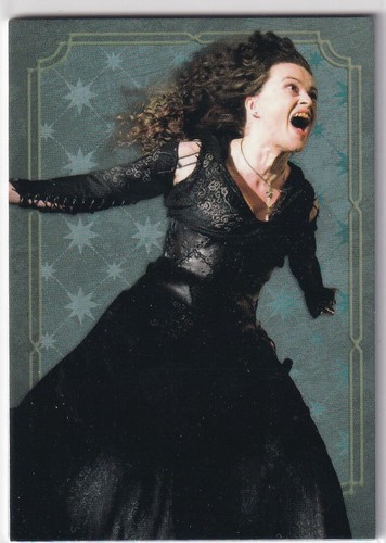 Panini harry potter evolution - panini,