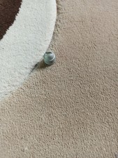 Pro Aqua Original Separator Schraube für Staubsauger PA03 PA02 bis Baujahr 2007