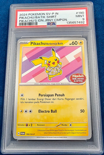2024 pokemon pikachu - pokemon,