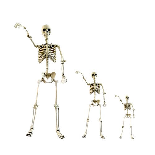 Halloween skelett beweglich - halloween-skelett,,
