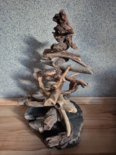Baum aus schwemmholz - aus,