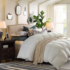 LEDINA Ganzjahres Daunendecke