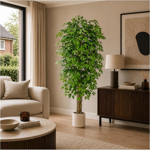 Kunstpflanze ficus benjamini - kunstpflanze,