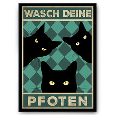 Lustiges Katzen Poster