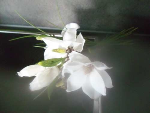 Magnolien strauß weiß - magnolien,