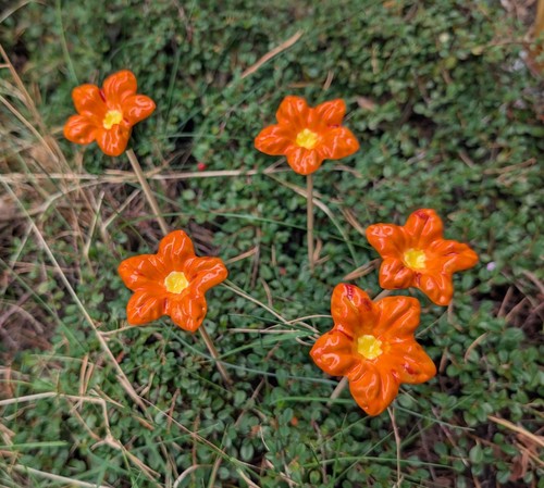 Blüten blümchen keramik - 5,