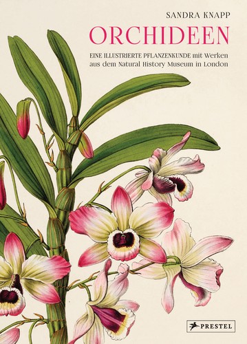 Orchideen eine illustrierte - orchideen:,